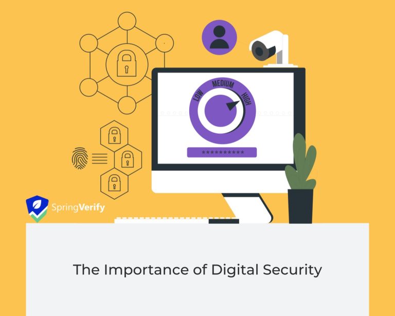 The Importance of Digital Security SpringVerify India Blog(03)
