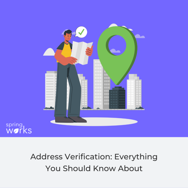 importance-of-identity-check-and-how-it-works-springverify-india-blog